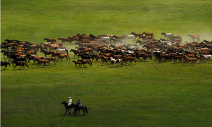 2025清明節(jié)放假通知